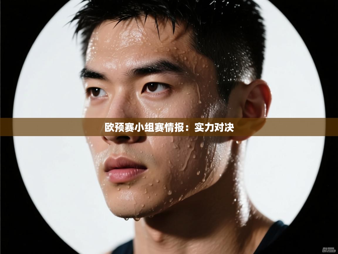 欧预赛小组赛情报:实力对决 第1张